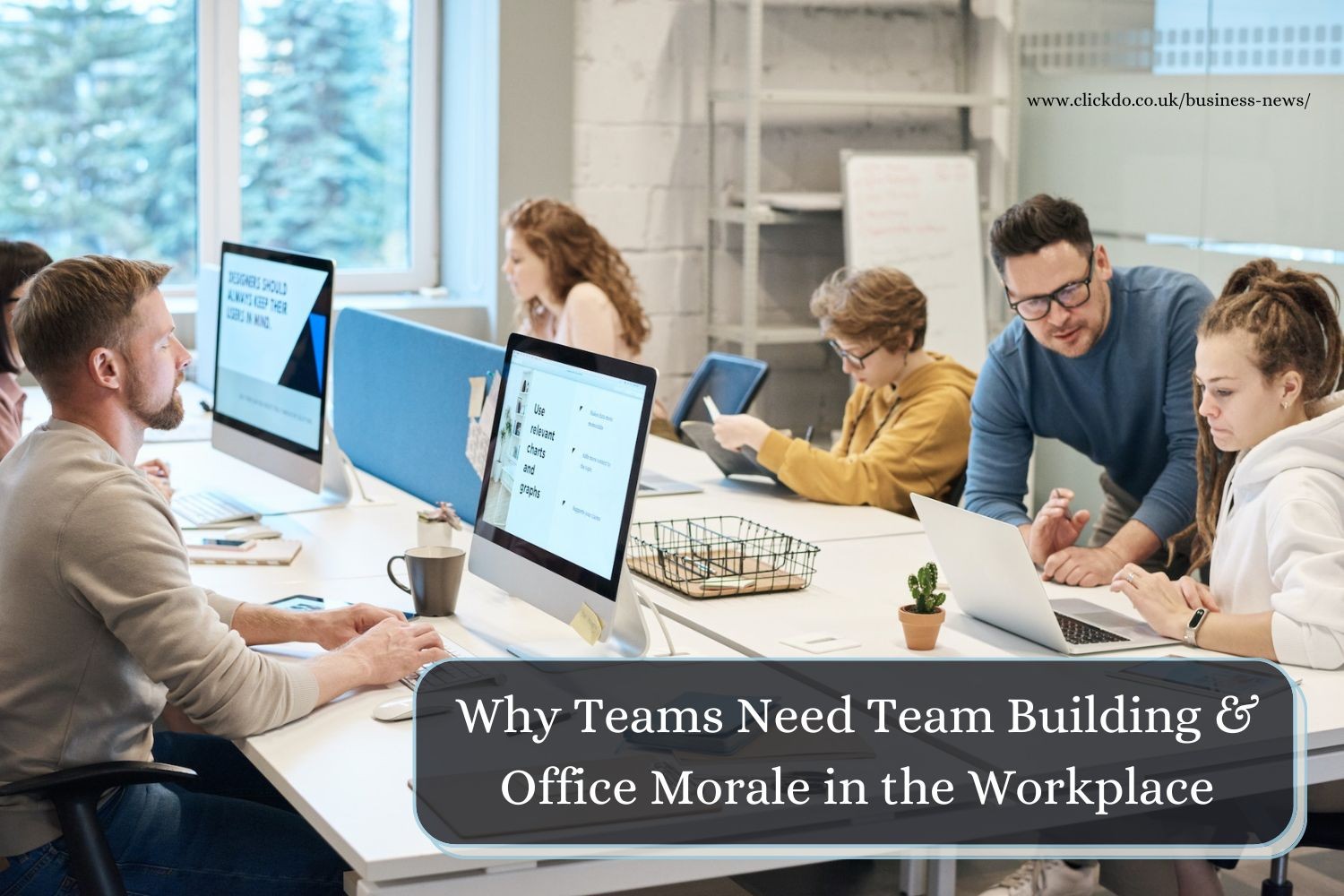 team-building-for-office-morale