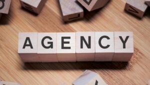 What is Agency Project Management
