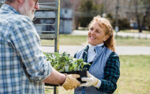 Riverford Organic Farmers
