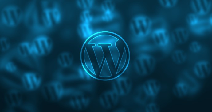 Important Things to Speed Up your WordPress Website