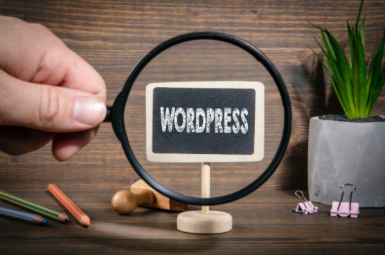 Speed Up your WordPress Website