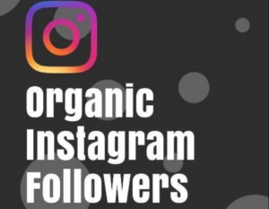 Buy instagram followers and increase your business growth