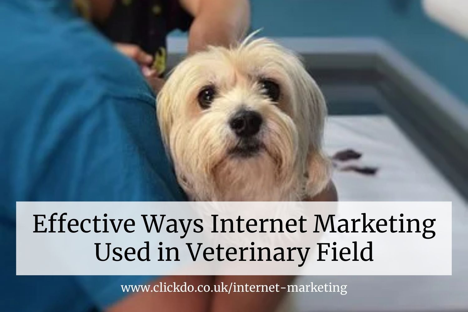 Technological-advancements-in-veterinary-medicine