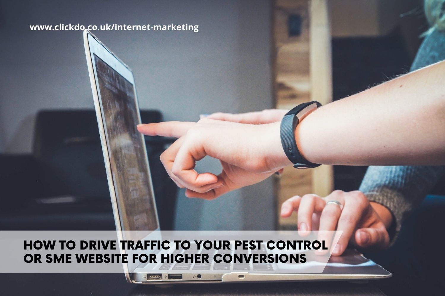 how-to-drive-traffic-to-your-pest-control-or-sme-website