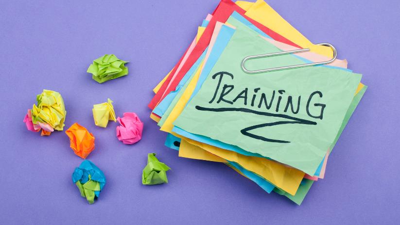 Building a Comprehensive Customer Training Curriculum