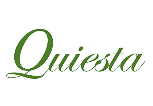 Quiesta-Logo