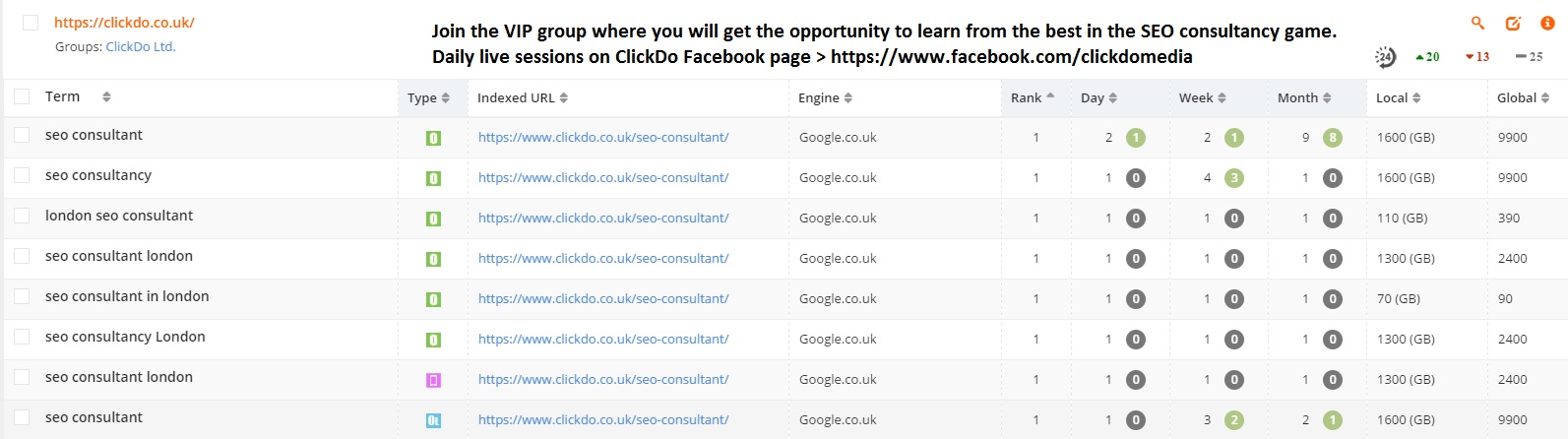 SEO Consultant #1