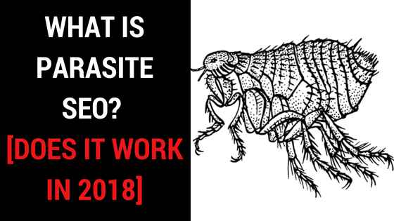 WHAT IS PARASITE SEO?