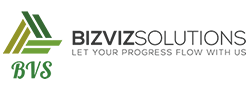 bizvizsolutions