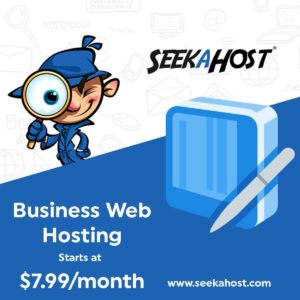 Business-Web-Hosting-from-SeekaHost