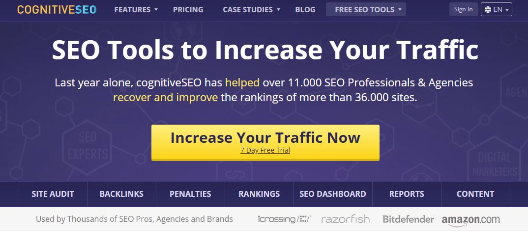 cognitive seo