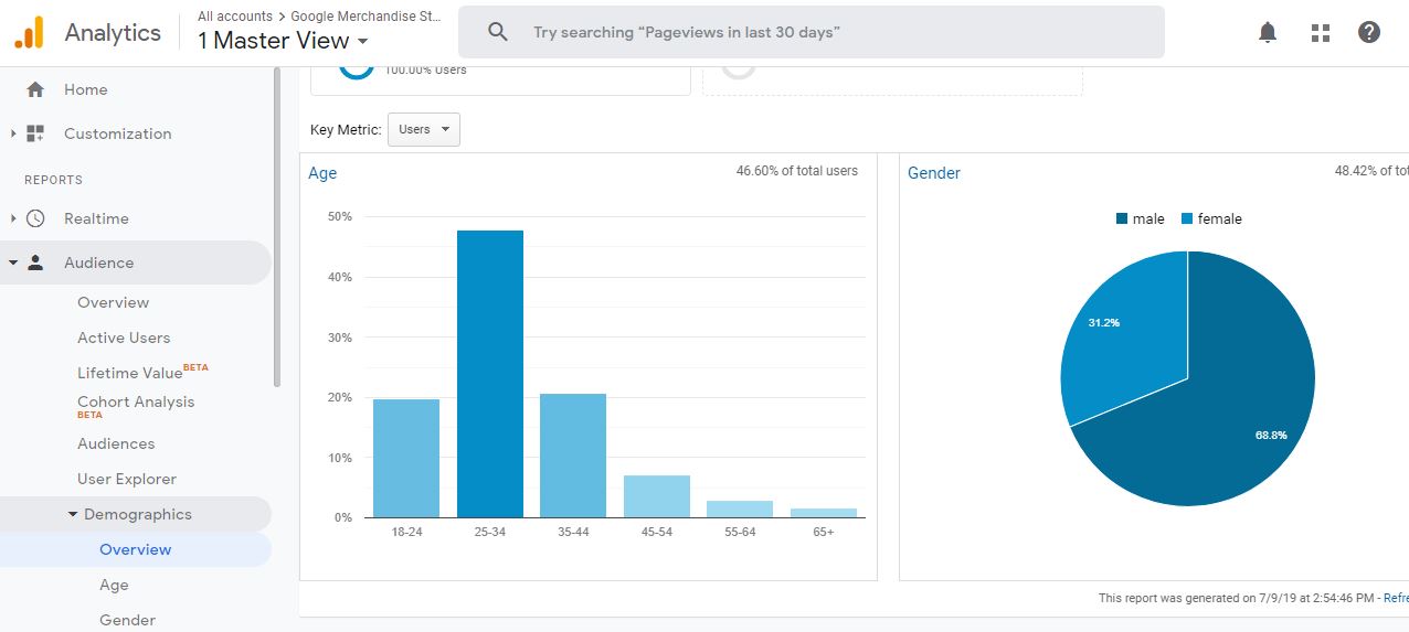 google analytics demographics