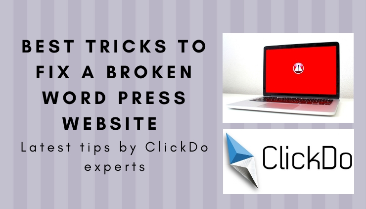 ClickDo Expert tips on how to fix a broken word press website showing errors