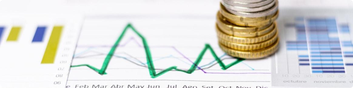 For analysts - bankers - finance - insurance professionals For analysts - bankers - finance - insurance professionals