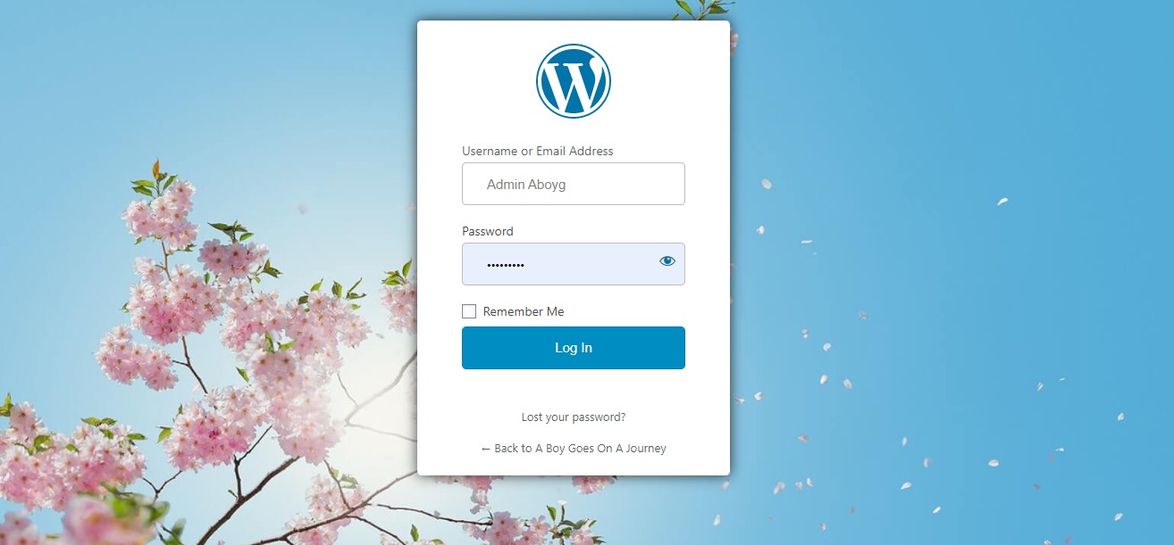 Customizing WordPress Login page