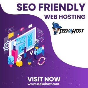 seo-hosting-for-businesses