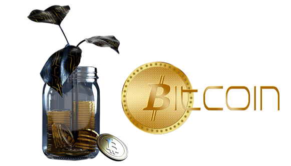 Crypto content agency Free consultation