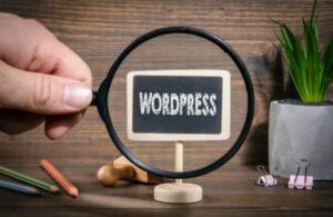 Wordpress SEO