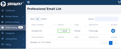 email hosting for custom domain